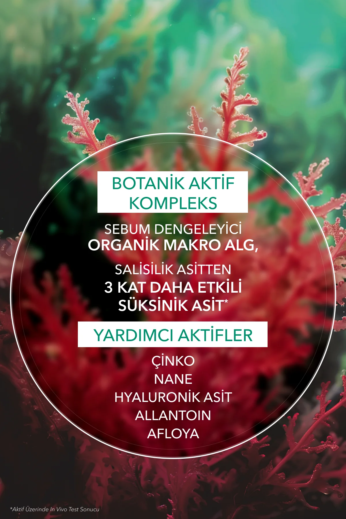 Arındırıcı Yağ Dengeleyici Serum-Süksinik Asit&Çinko-Sebo Active 