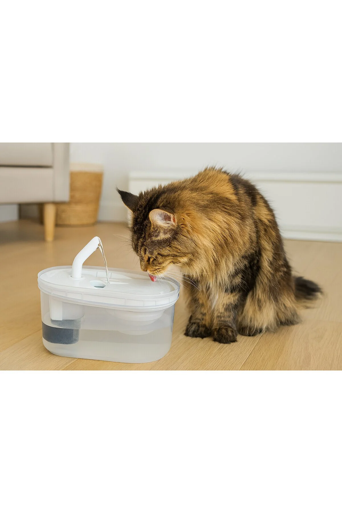 Arıtmalı Kedi Su Sebili 2.5 LT - Sessiz Motorlu, Karbon Filtreli 