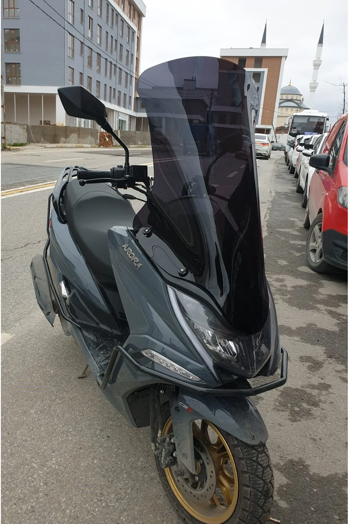Arora Safari PRO Ön Cam 2023-2026 Model 80cm Siyah Renkli 4mm UZU