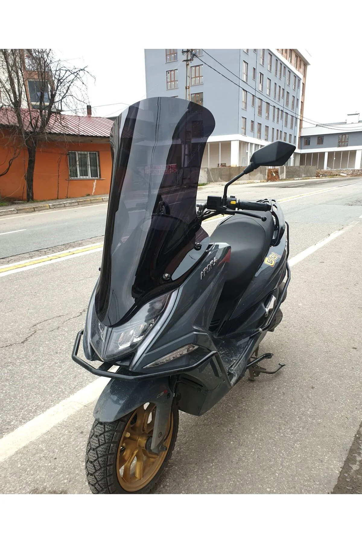 Arora Safari PRO Ön Cam 2023-2026 Model 80cm Siyah Renkli 4mm UZU