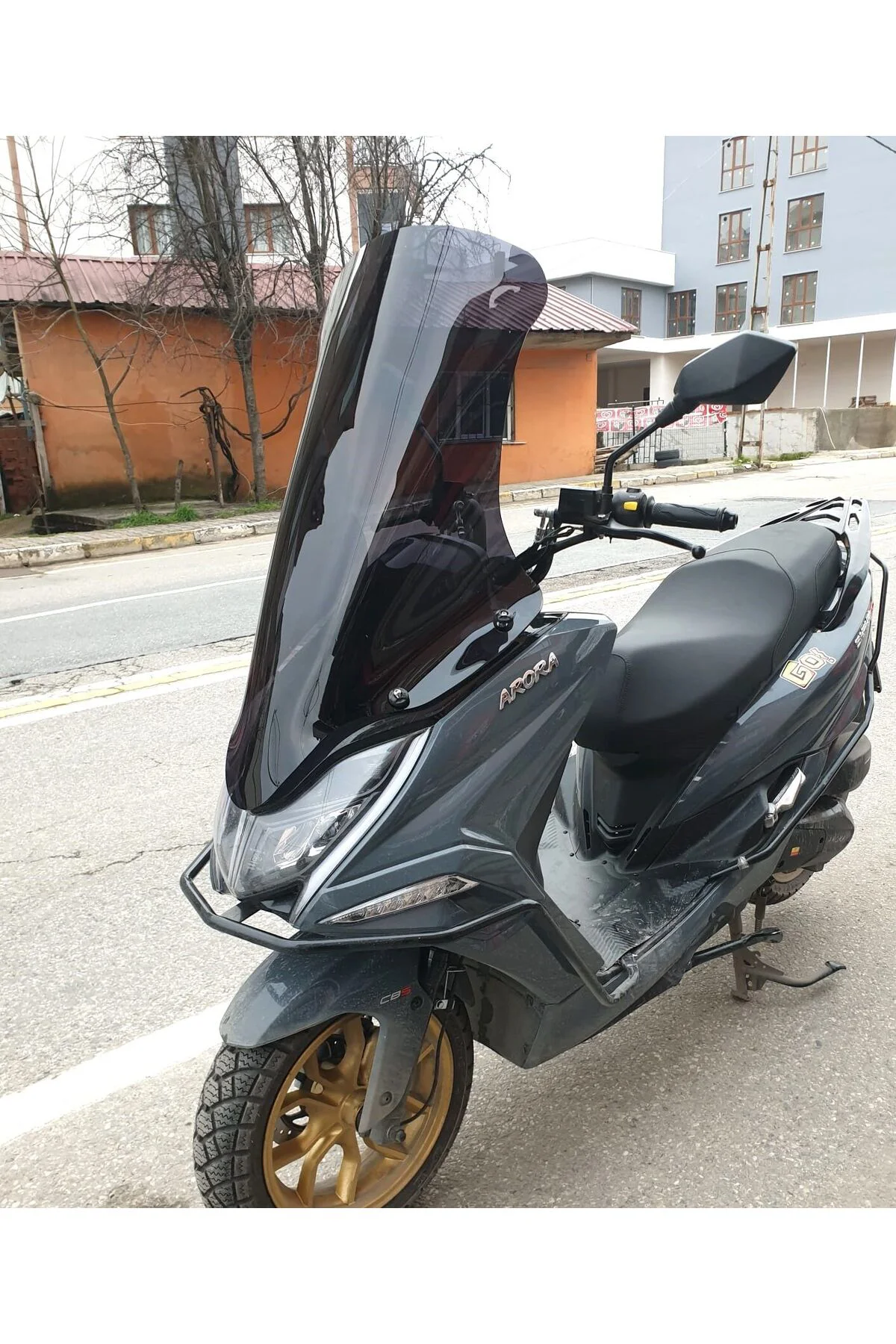 Arora Safari PRO Ön Cam 2023-2026 Model 80cm Siyah Renkli 4mm UZU