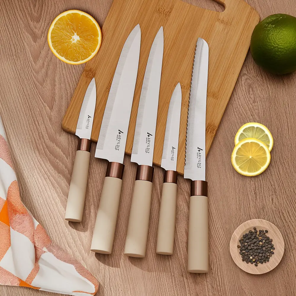 Aryıldız Zenith 6 Parça Blok Bıçak Seti Ar259924 Aryıldız Zenith 6 Parça Blok Bıçak Seti Ar259924