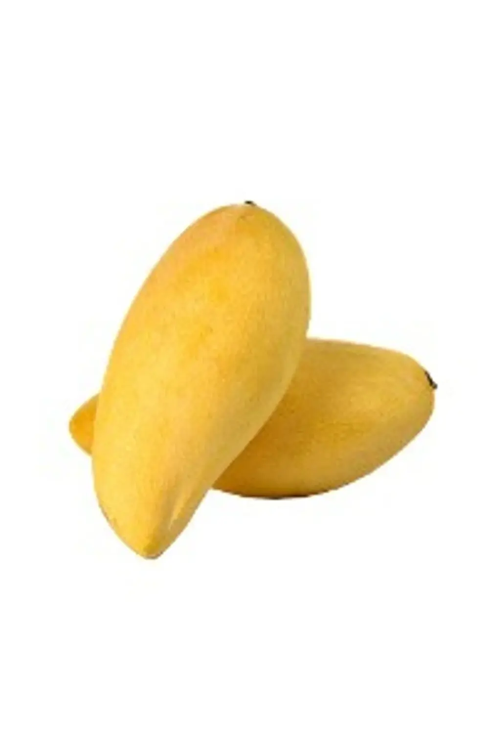 Aşılı Mango Fidanı 3 Yaş 110 cm Nam Doc Mai