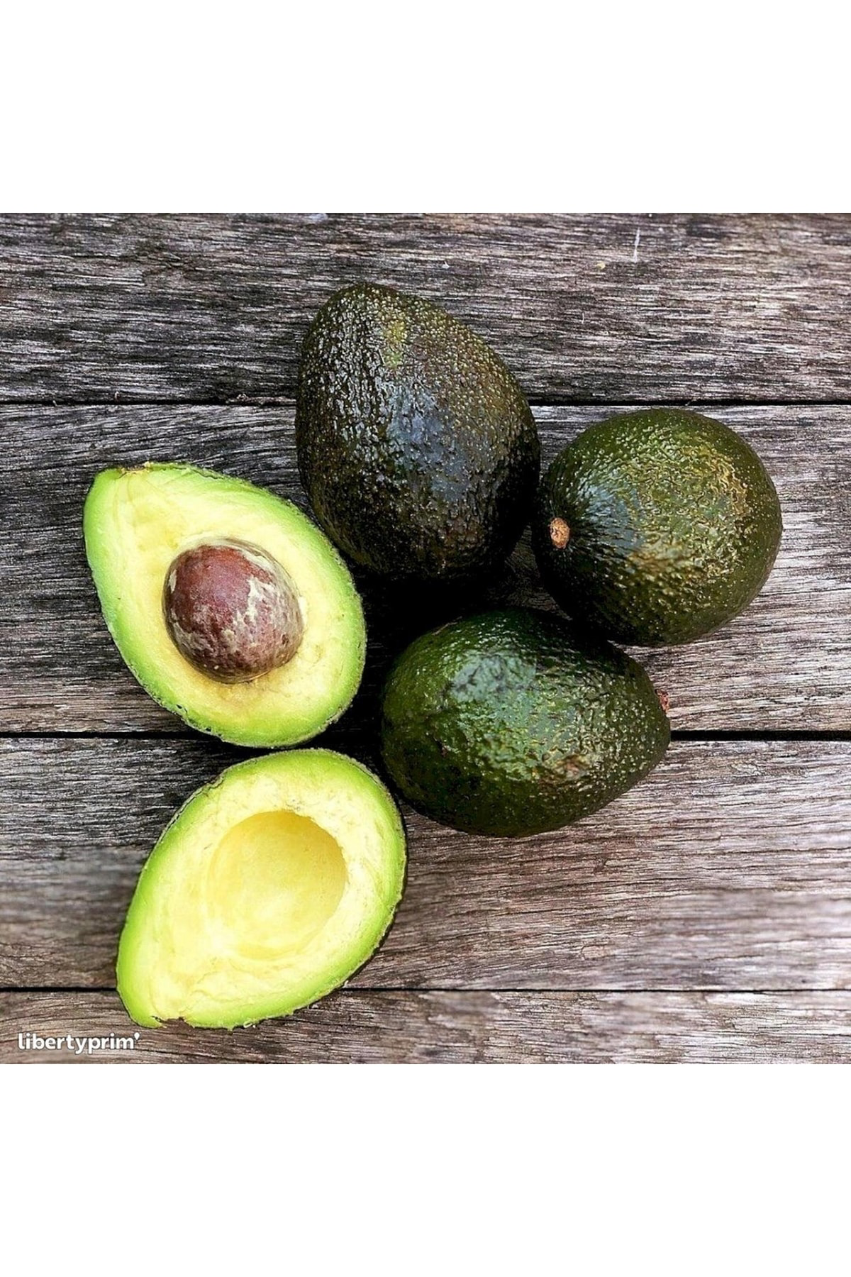 Aşılı Tüplü Hass Black Avokado 2 Yaş Boy 60-90 Cm