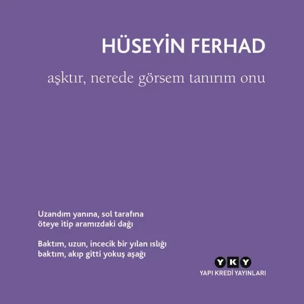 Aşktır, Nerede Görsem Tanırım Onu Fiyatı, Yorumları ve Özellikleri