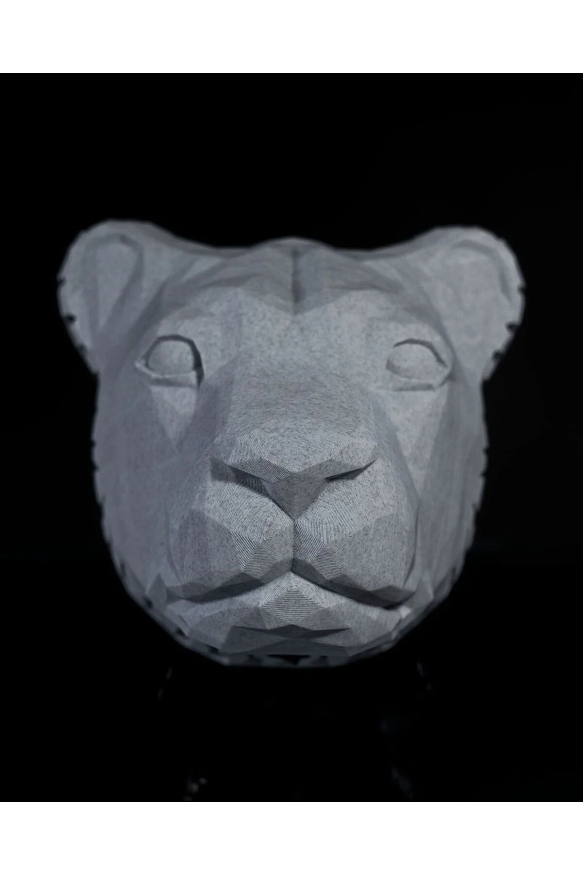 Aslan Elegant Duvar Lambası Aplik (20 CM BOY)