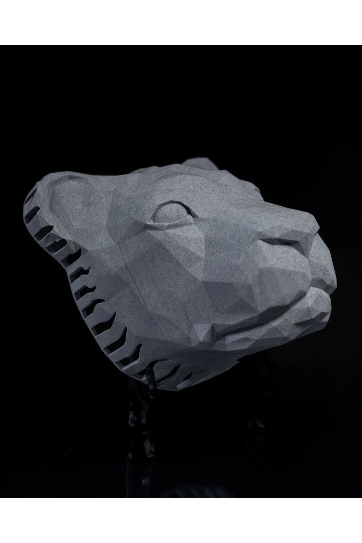 Aslan Elegant Duvar Lambası Aplik (20 CM BOY)