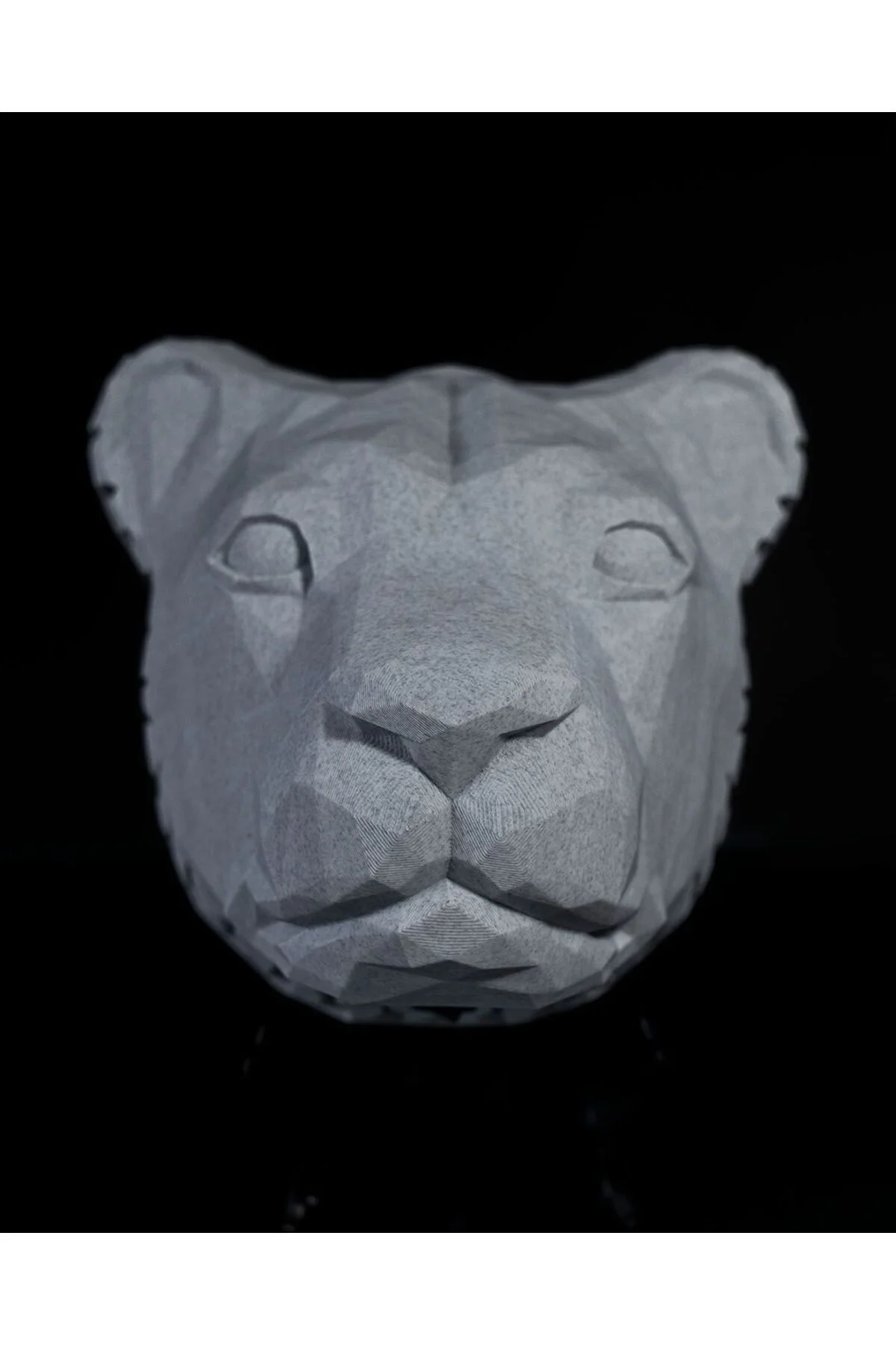 Aslan Elegant Duvar Lambası Aplik (20 CM BOY)