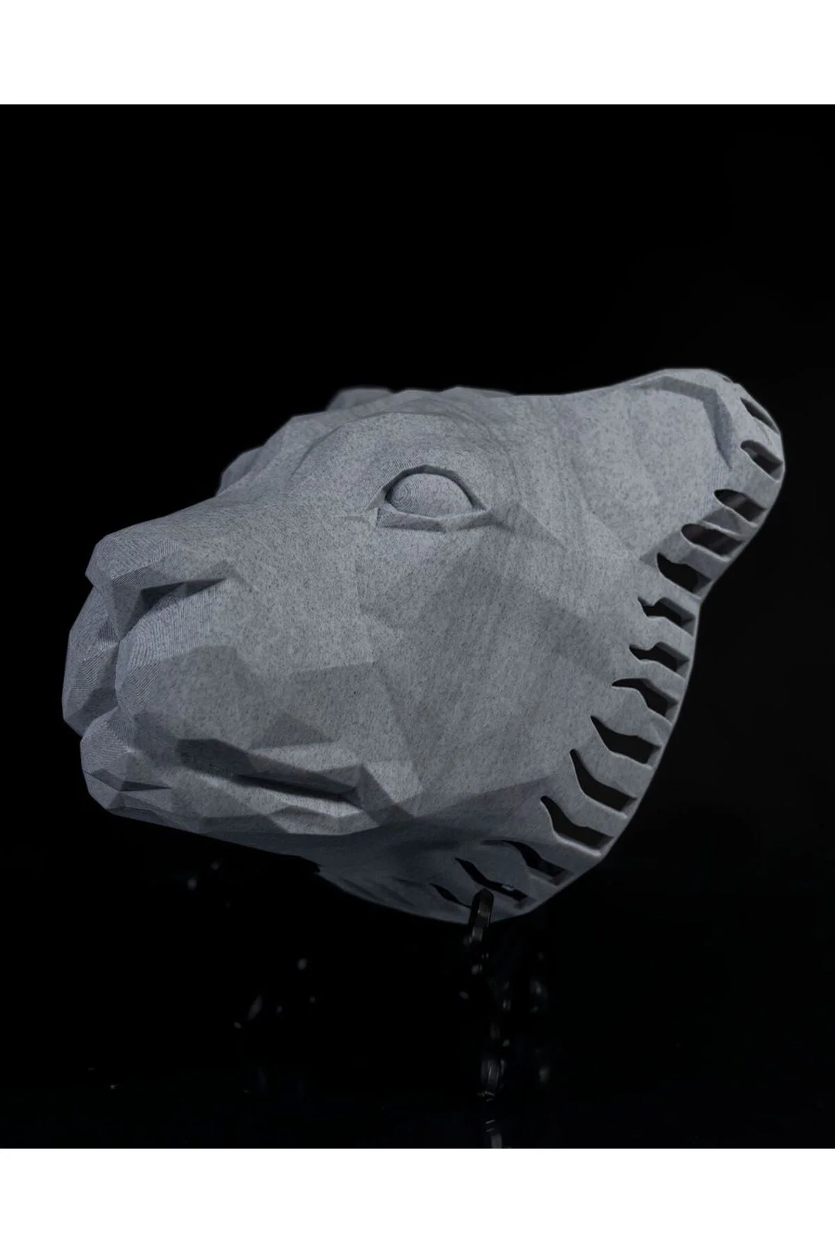 Aslan Elegant Duvar Lambası Aplik (20 CM BOY)
