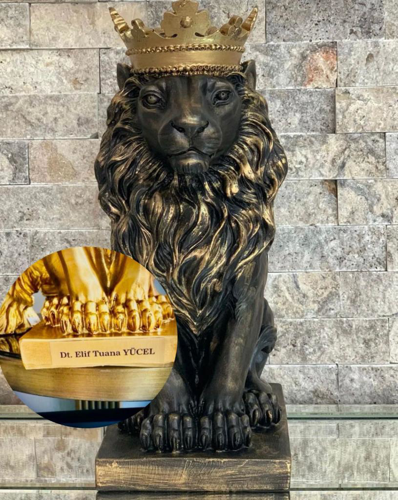 Aslan Kral Biblo Kişye Özel, İsim Veya Marka Yazılır