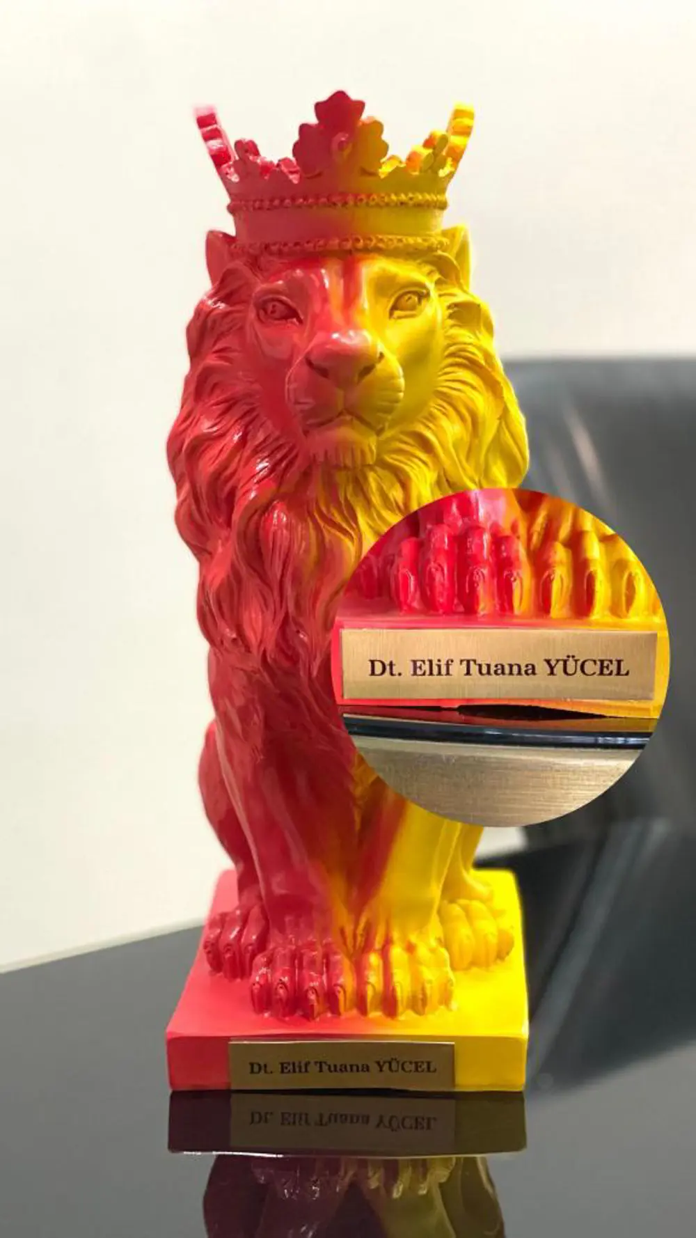 Aslan Kral Biblo Kişye Özel, İsim Veya Marka Yazılır