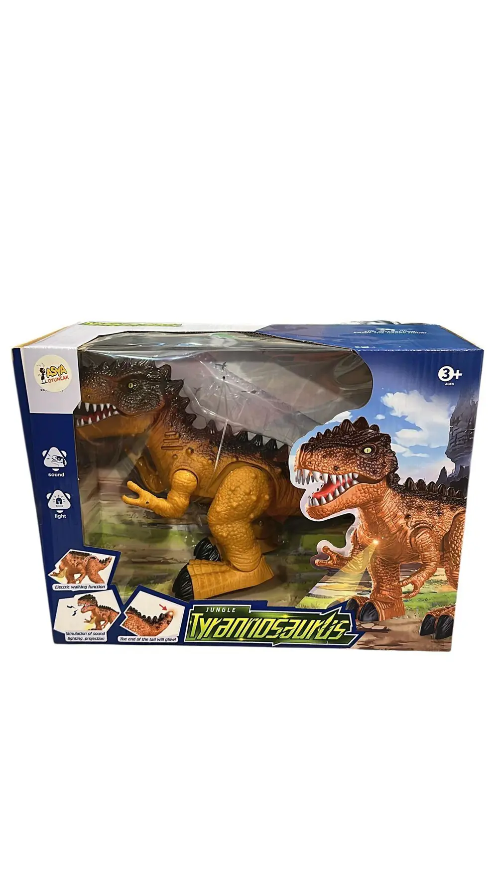 ASYA KT.PILLI DINAZOR C5792-666-36A-24