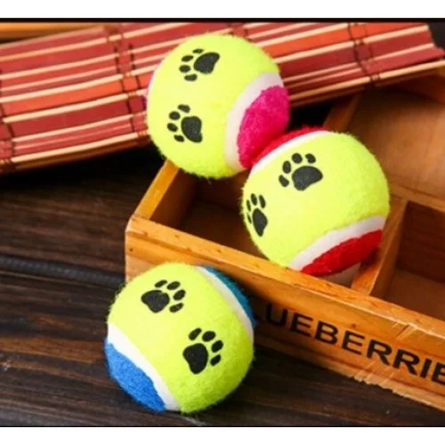 At Getir Köpek Eğitim Topu Bx40 Fiyatı, Yorumları ve Özellikleri