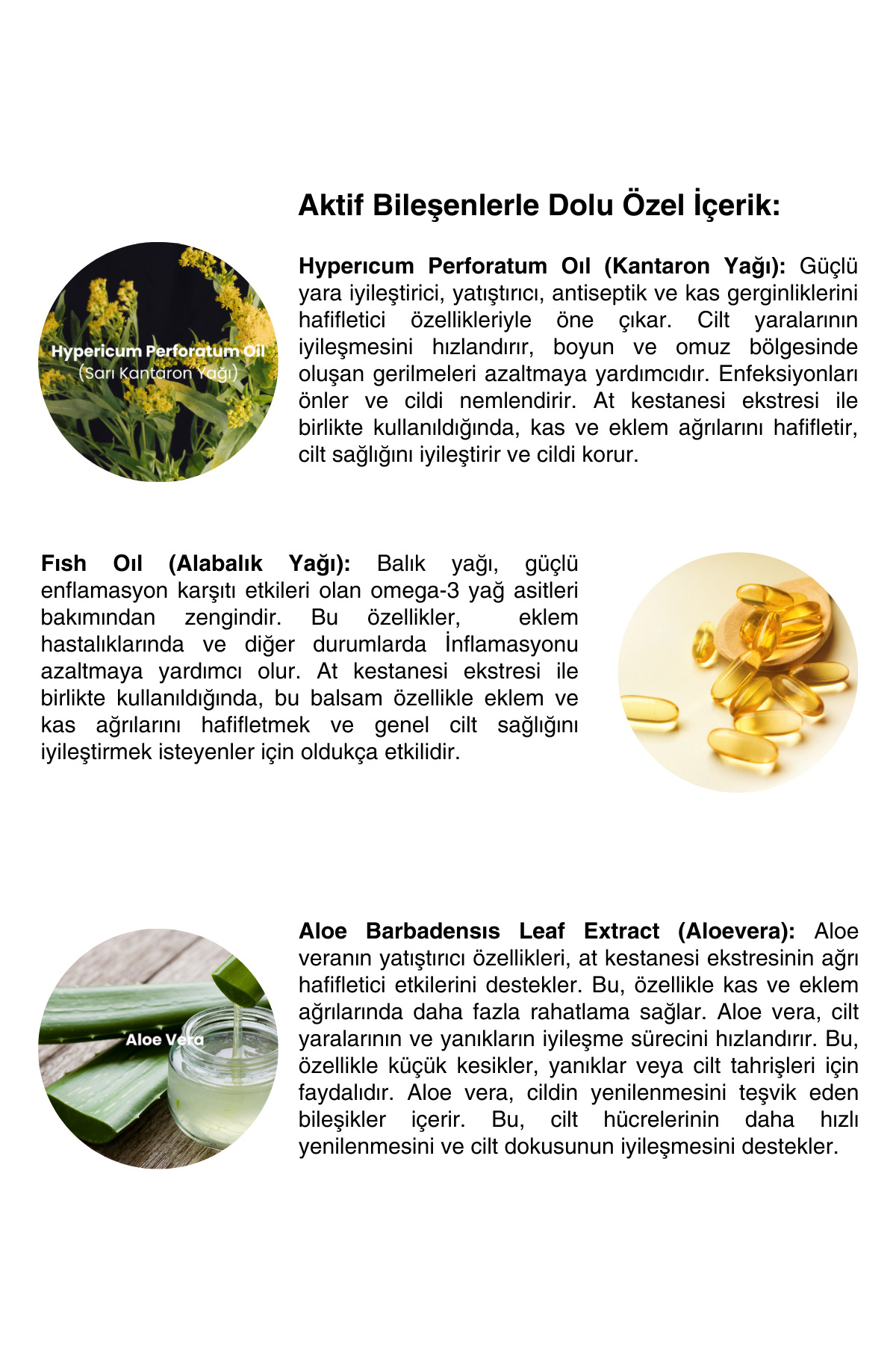 At Kestanesi Kremi Aynı Sefa Kantaron Balsamı 500ml