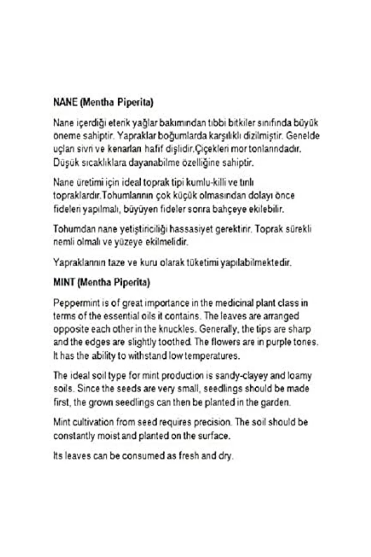 ATA TOHUMU YERLİ ANADOLU NANESİ 0.1 GRAM TOHUM