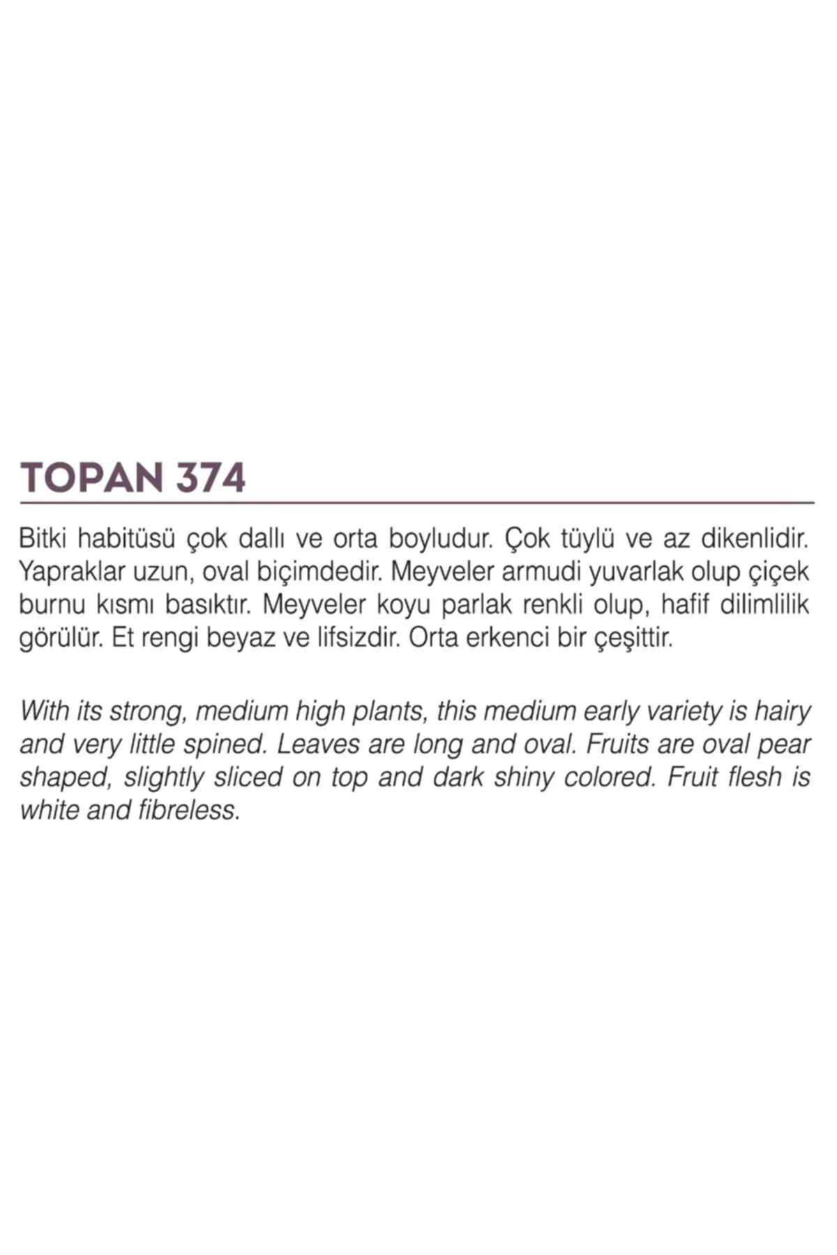 Ata Tohumu Yöresel Yerli Doğal Topak Patlıcan Tohumu 100 Adet Tohum