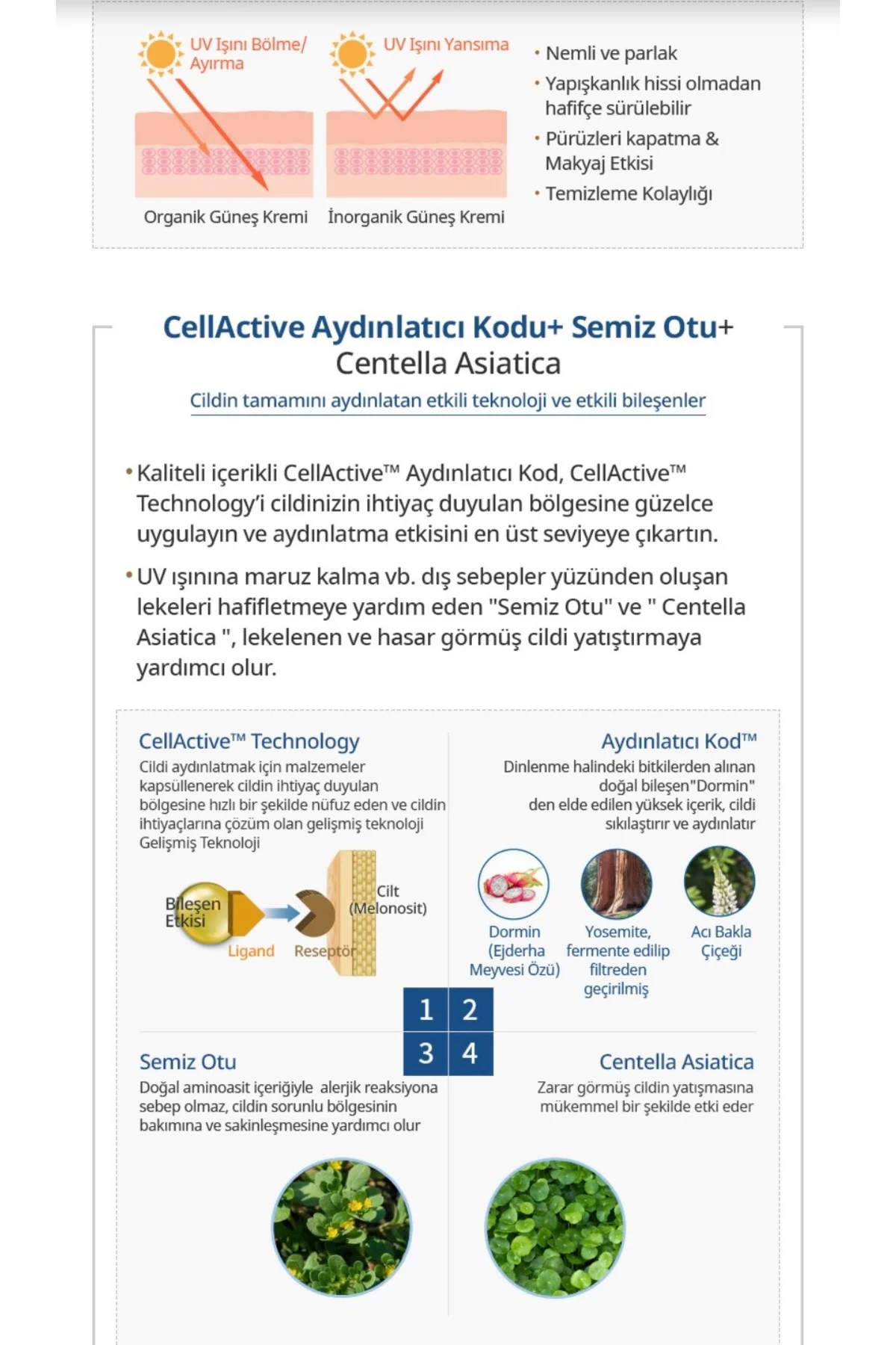 Atomy Absolute Essence UV Güneş Koruyucu Krem