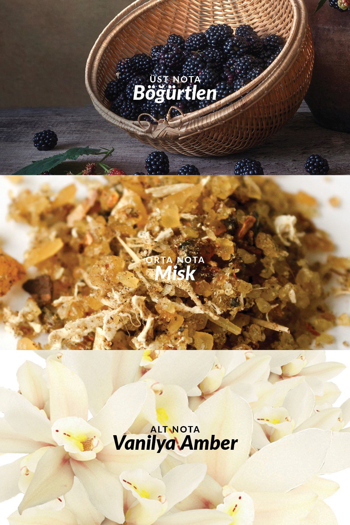 Avon Attraction Kadın Parfüm 30 Ml. Ve Vücut Losyonu Paketi