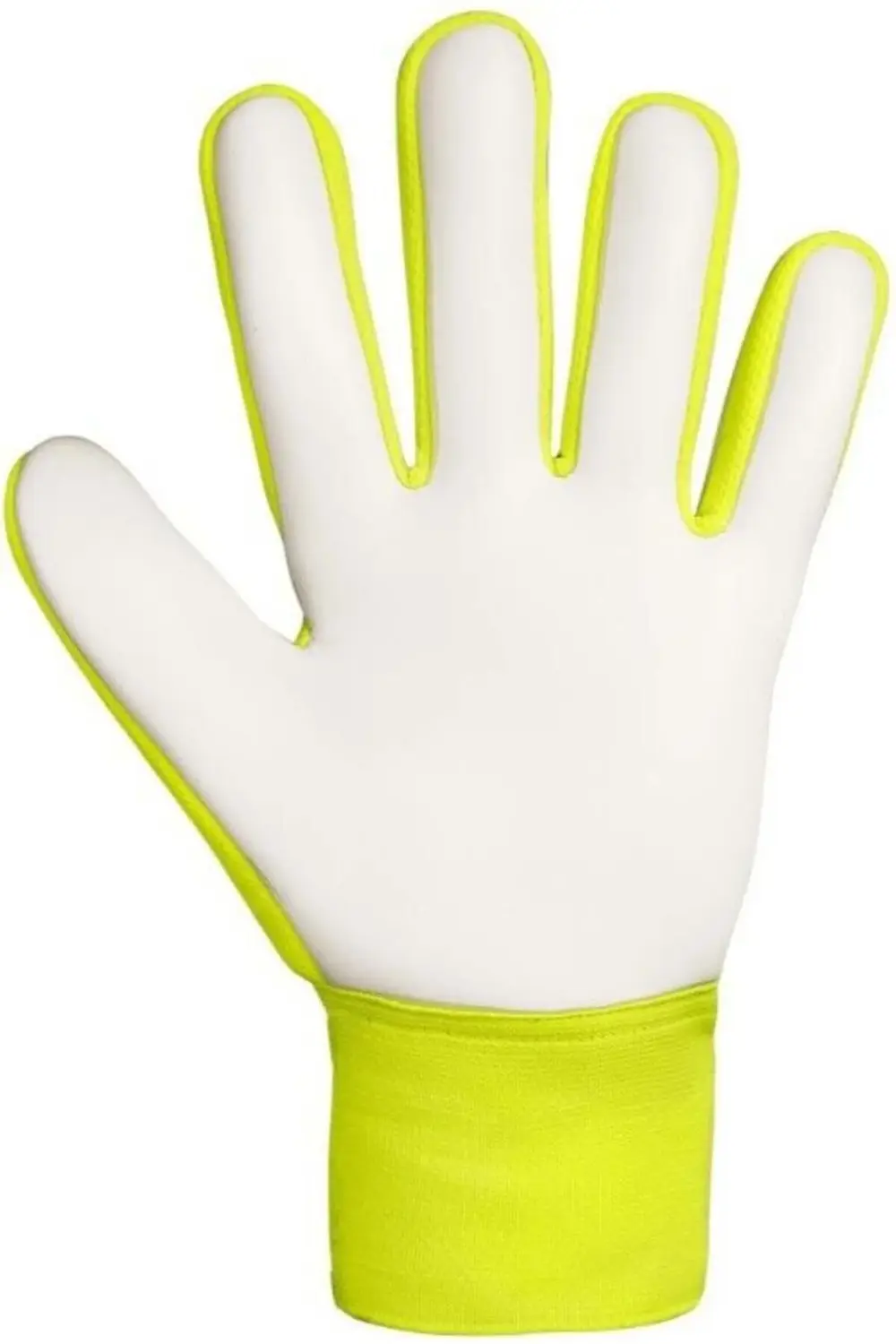 Attrakt Starter Solid Kaleci Eldiveni (Kemiksiz)-8.5