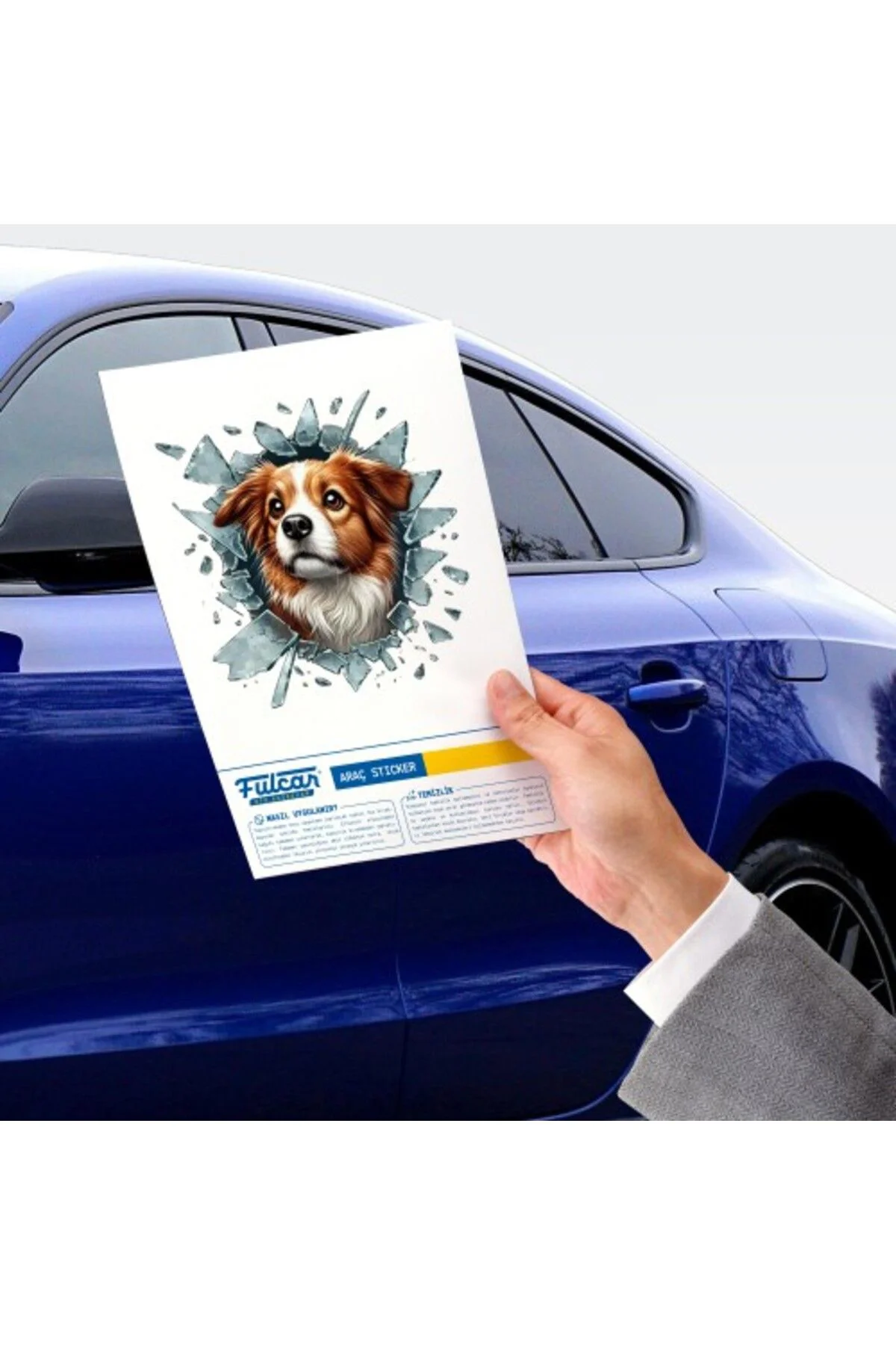 Australian Shepherd Araç Stickerı, Cam Stiker