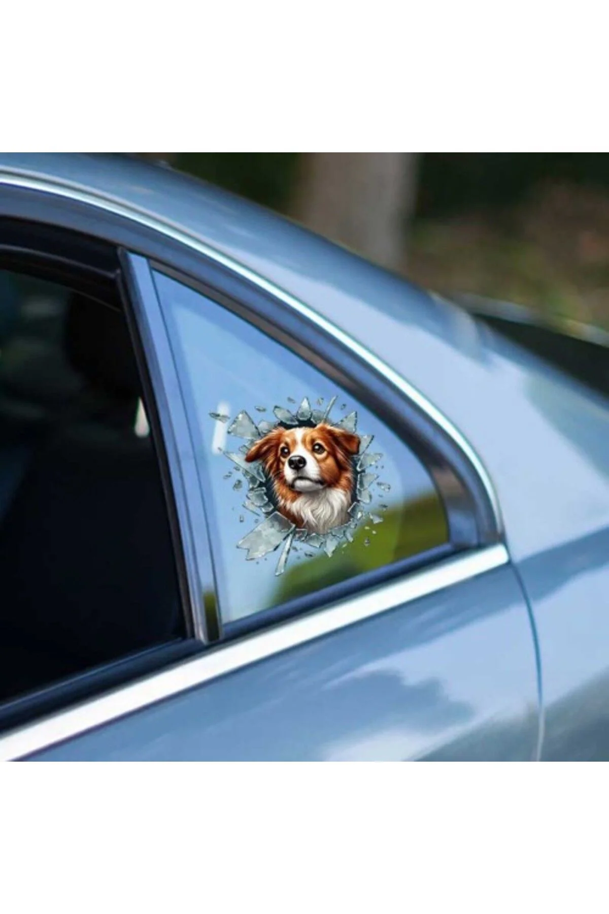 Australian Shepherd Araç Stickerı, Cam Stiker