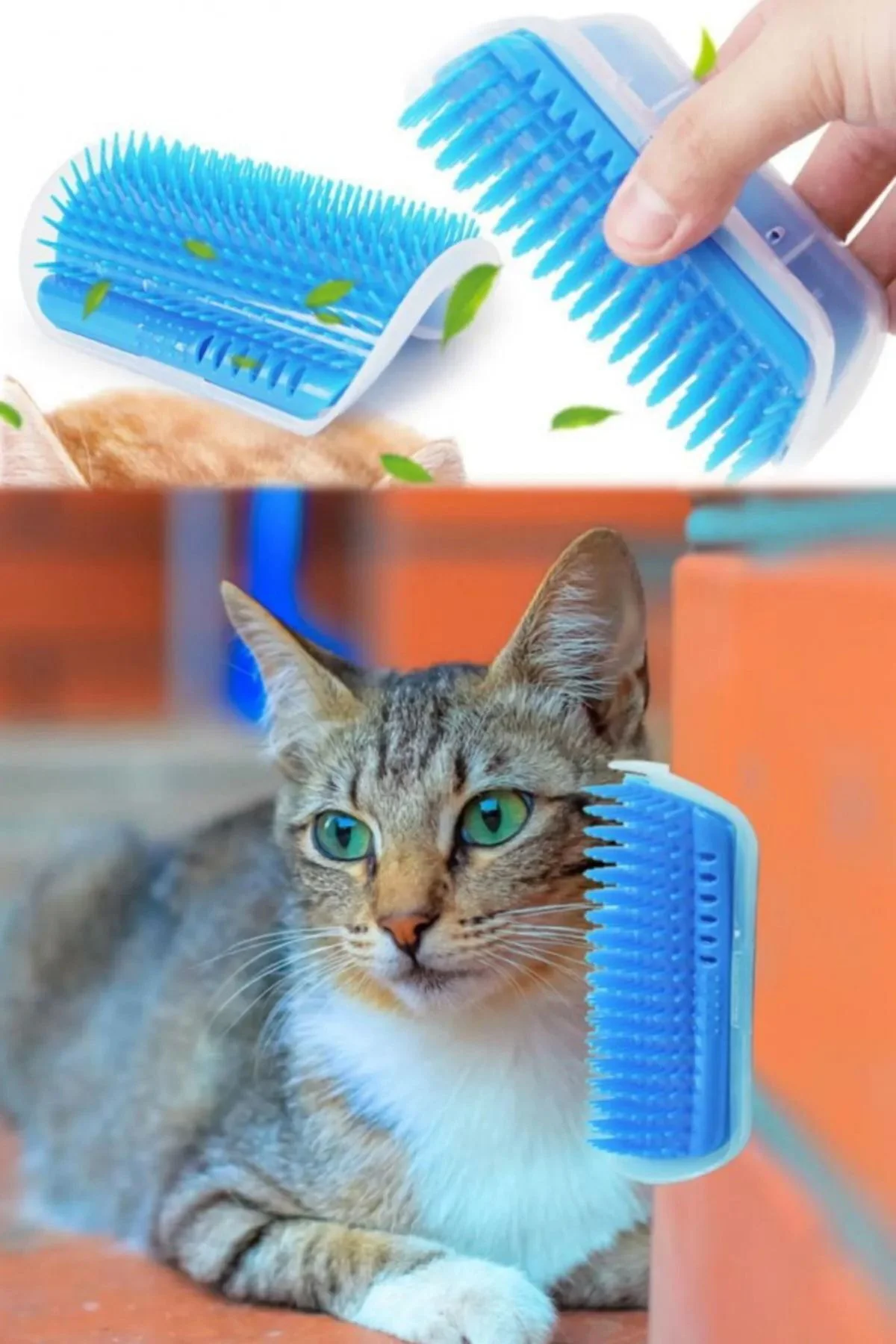 Aveo 1 Adet Cat It Pratik Kedi Tüyü Kaşıma Ve Tarama Aparatı Duva