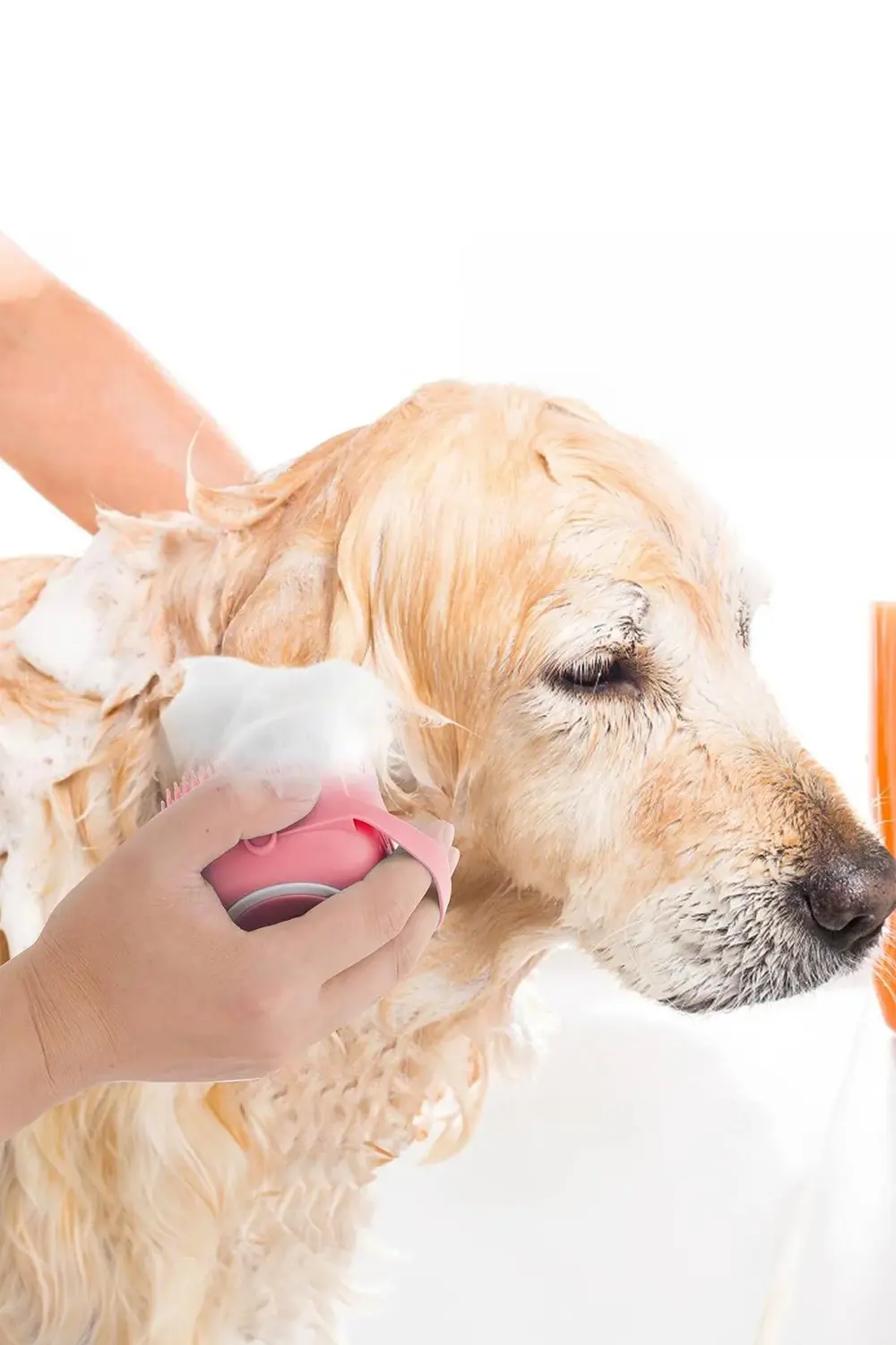 Aveo 1 Adet Şampuan Hazneli Kedi Ve Köpek Evcil Hayvan Yıkama Fır