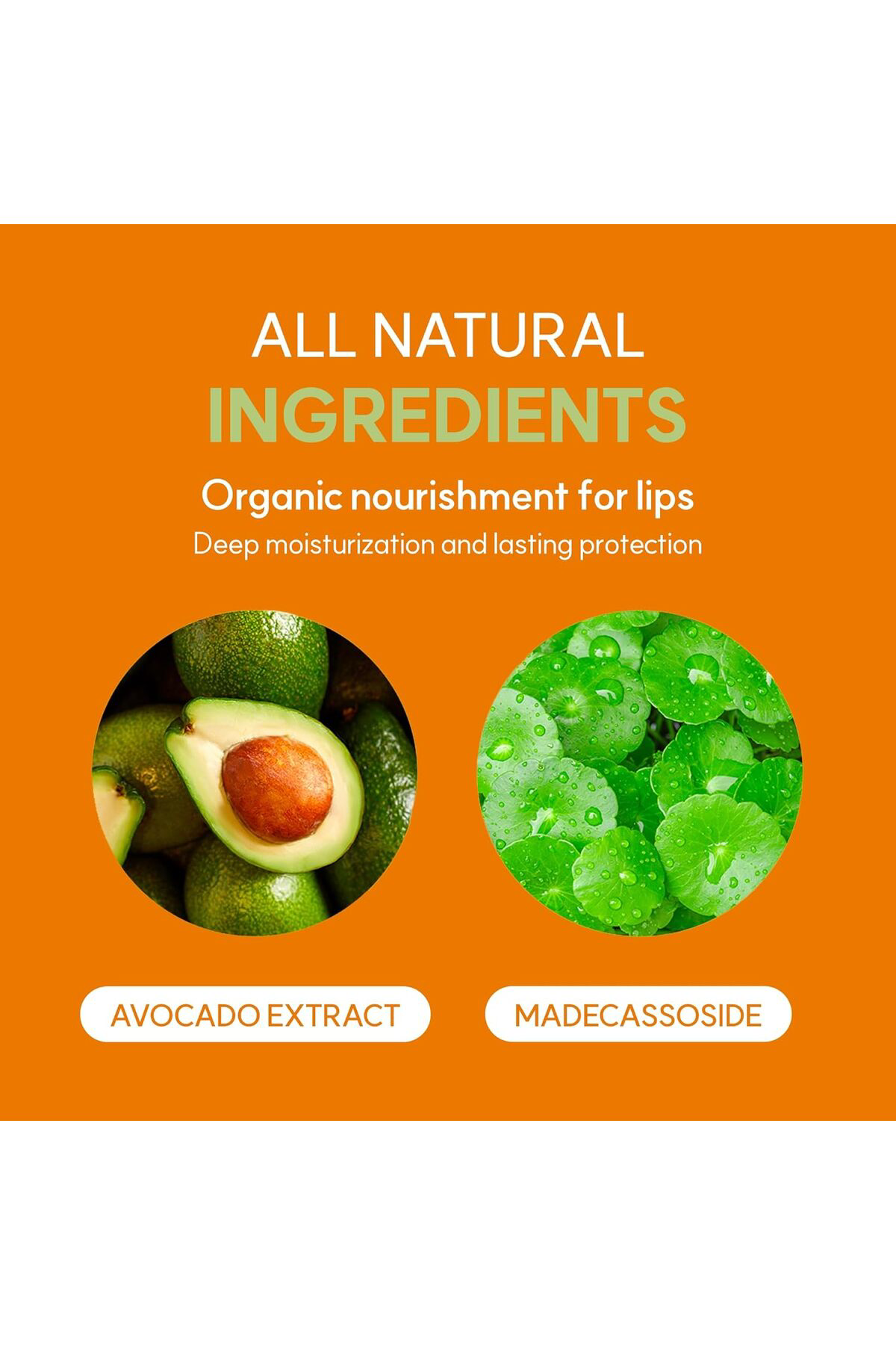 Avocado Cica Dudak Balmı 10 ml