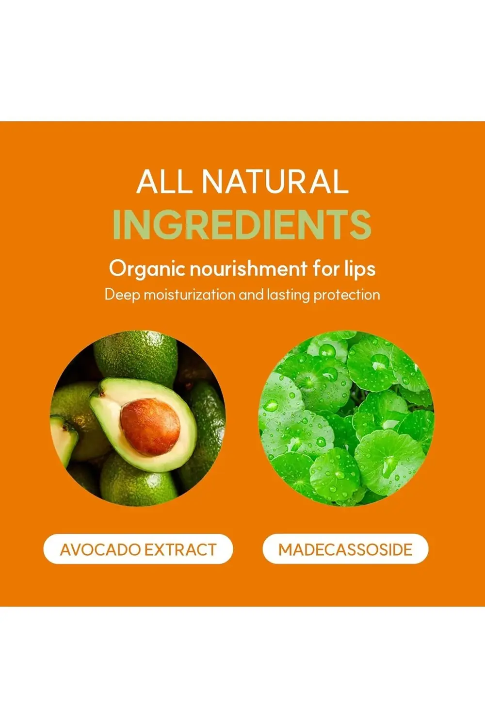 Avocado Cica Dudak Balmı 10 ml