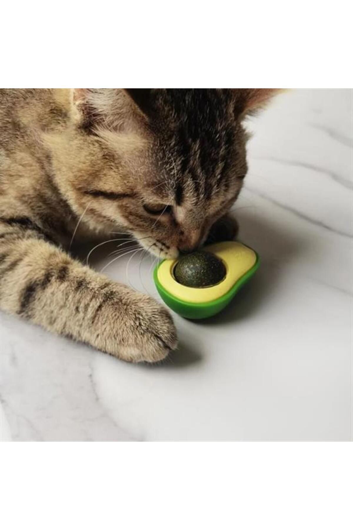 Ok Aksesuar Avokado Model Yapişkanli Kedi Oyuncaği Yenilebilir Kedi Nanesi Ot