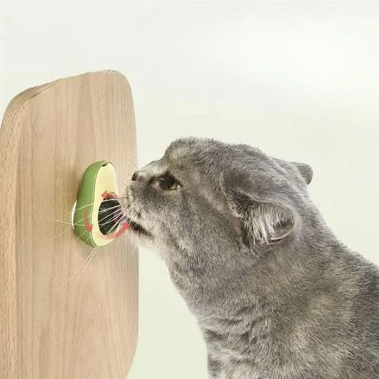 Avokado Model Yapışkanlı Kedi Oyuncağı Yenilebilir Kedi Nanesi Otu Avokado Model Yapışkanlı Kedi Oyuncağı Yenilebilir Kedi Nanesi Otu
