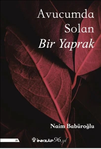Avucumda Solan Bir Yaprak Fiyatı, Yorumları ve Özellikleri