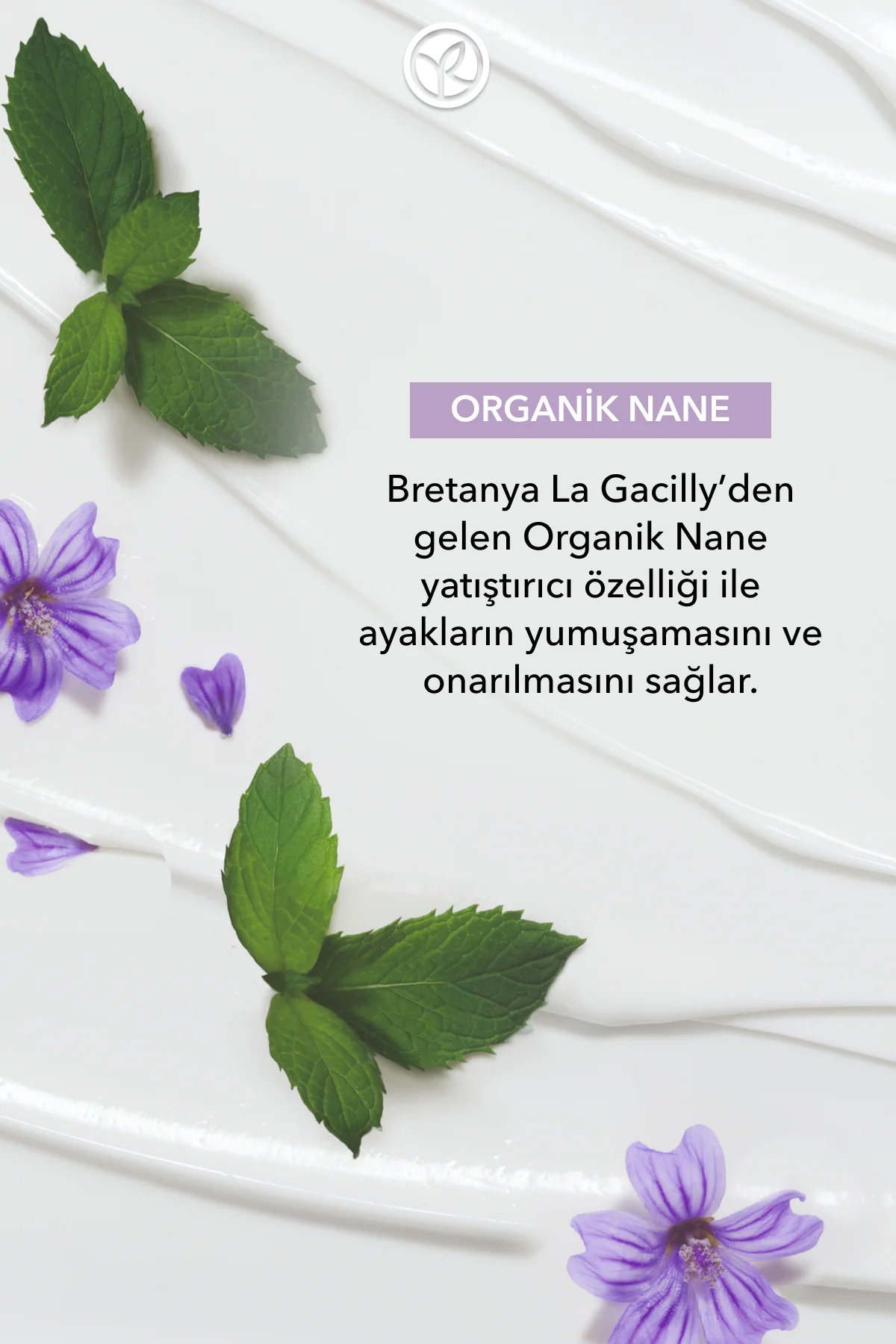 Ayak Bakım Kremi - Onarıcı ve Yumuşatıcı-75 ml-19280