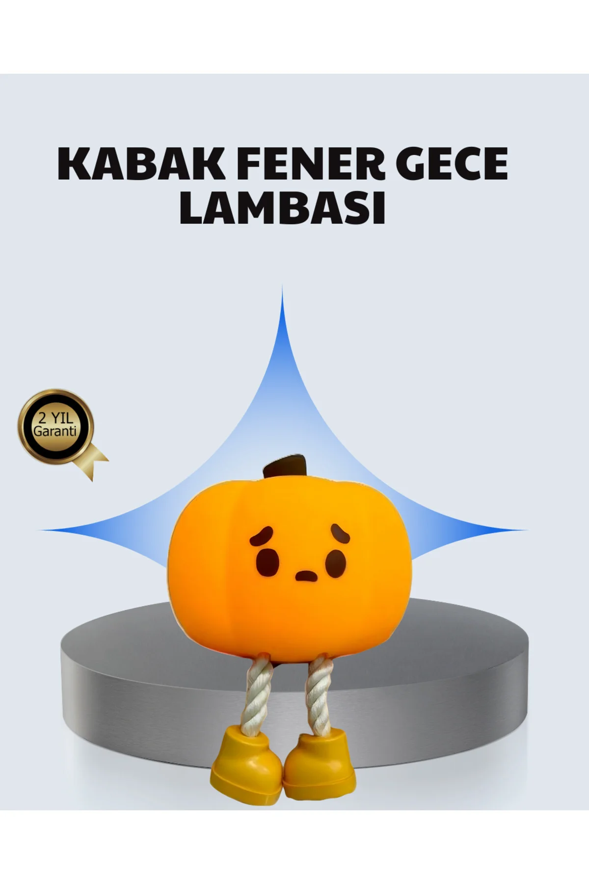 AYAKKABI KURUTUCU