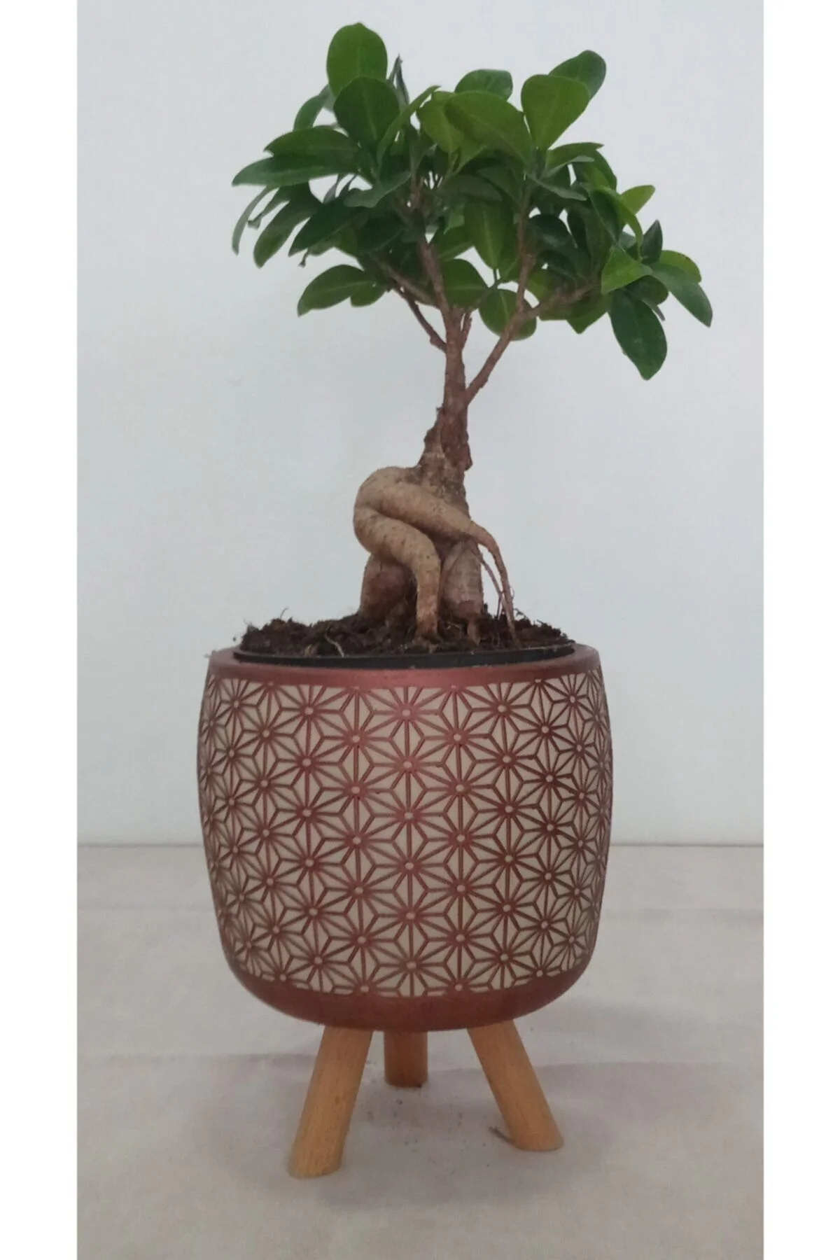 Ayaklı Dekoratif Taş Saksıda Bonsai Ayaklı Dekoratif Taş Saksıda Bonsai