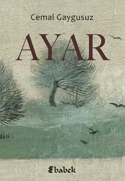 Ayar Fiyatı, Yorumları ve Özellikleri