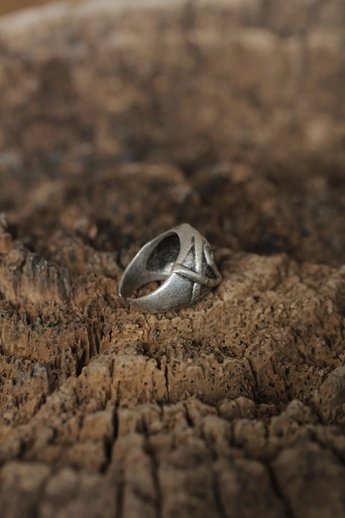 Ayarlanabilir Kuru Kafa Tasarımlı Erkek Yüzük - Lisinya