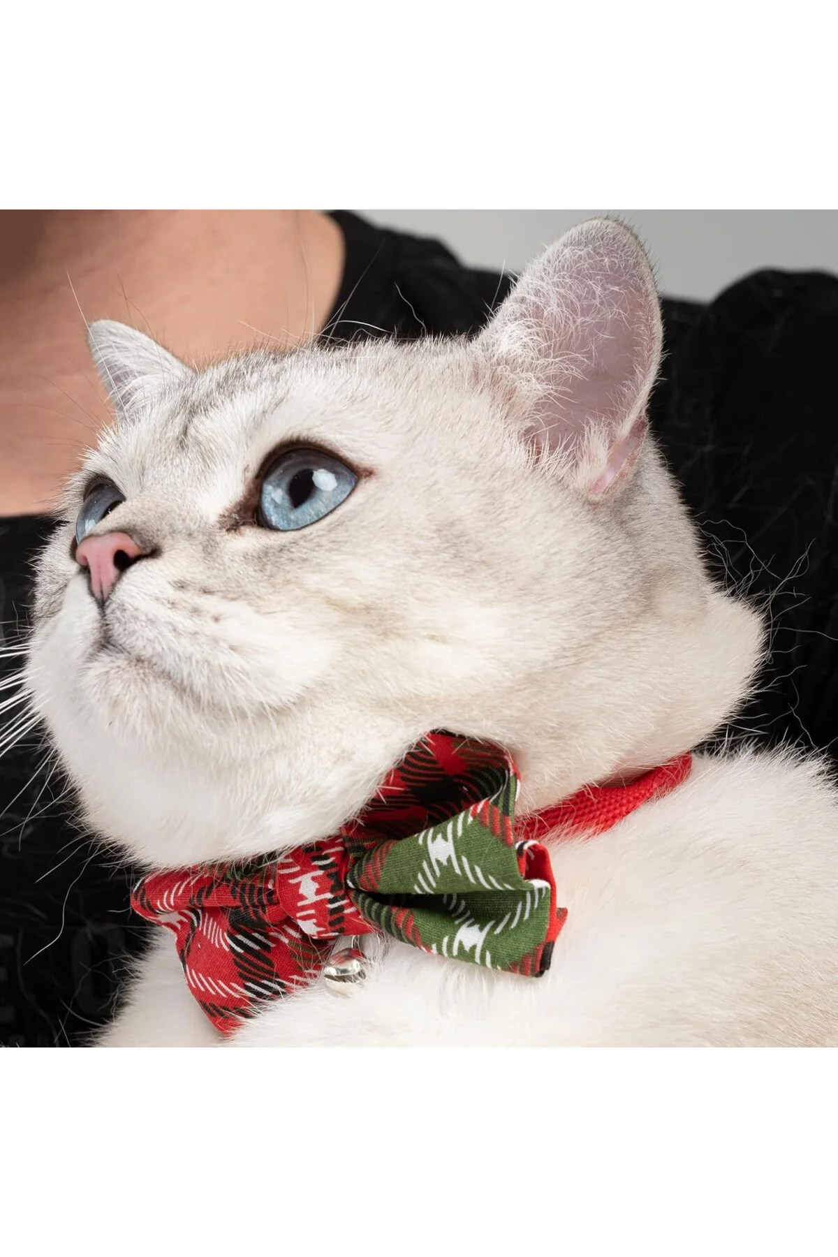 Ayarlanabilir Yeni Yıl Papyonlu Kedi Tasması (ÇINÇINLI)