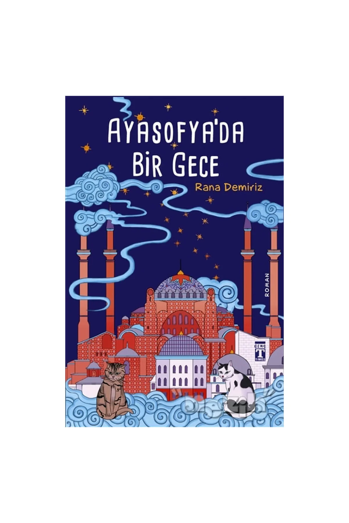 Ayasofya’da Bir Gece