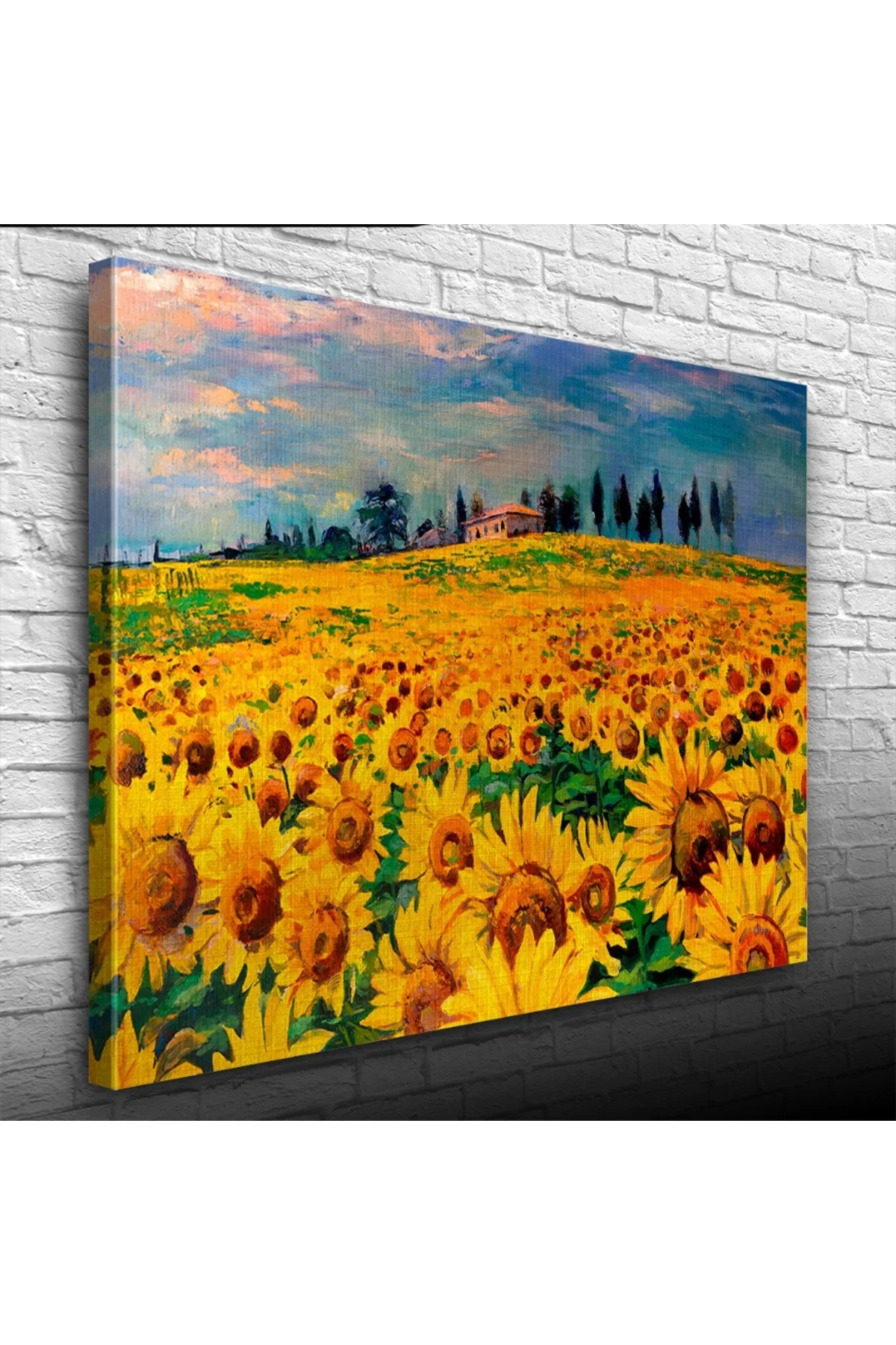 Ayçiçeği, Gündöndü, Günebakan Tarlası Kanvas Tablo 50 x 70