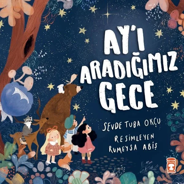 Ay’ı Aradığımız Gece Fiyatı, Yorumları ve Özellikleri