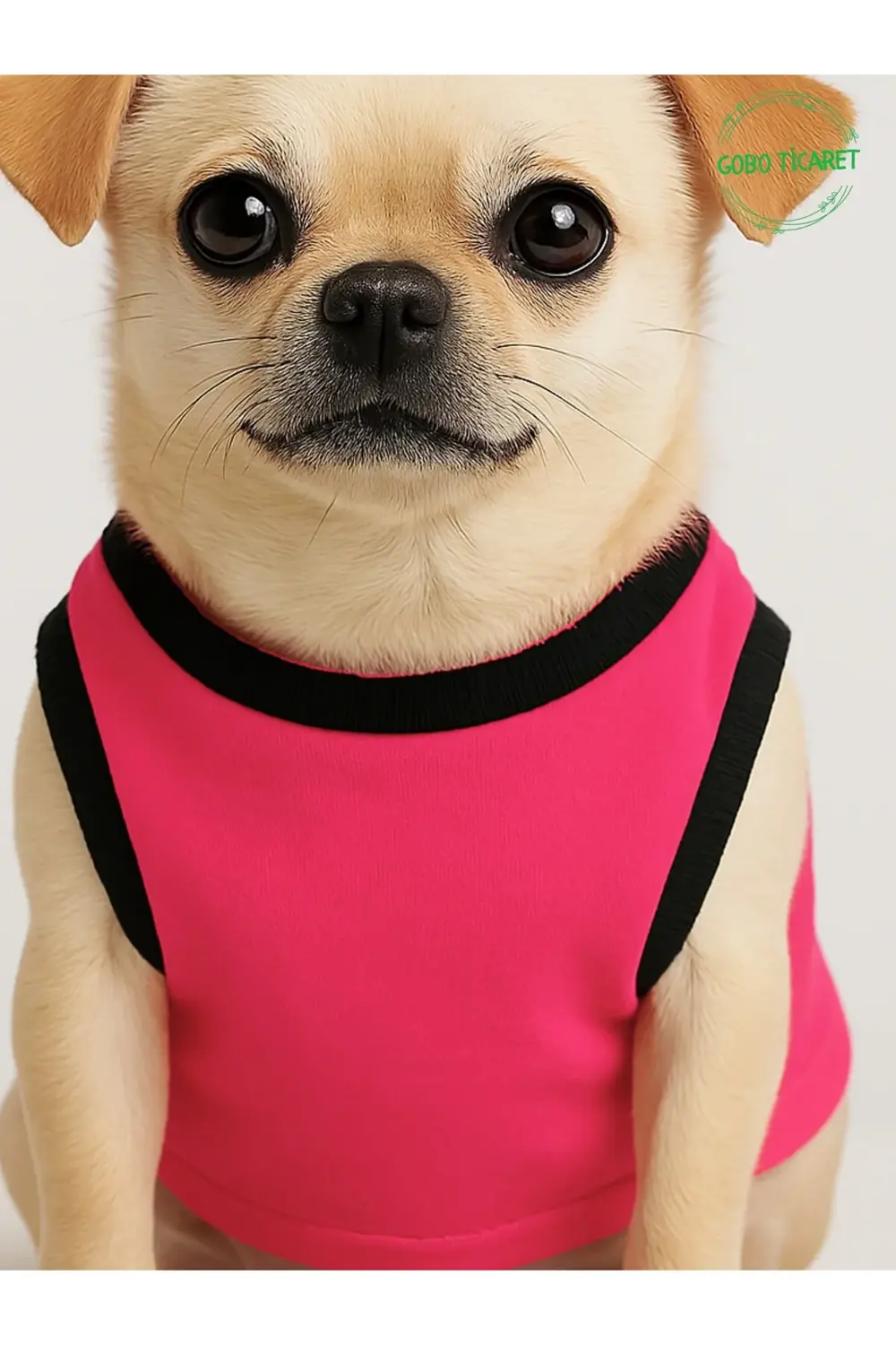 Ayıcık Aksesuarlı Fosforlu Pembe Kedi Köpek Kıyafeti Elbisesi Siy