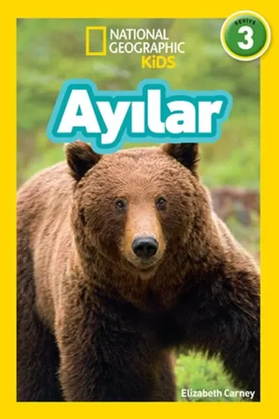 - Ayılar - Seviye 3