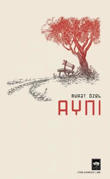 Aynı Fiyatı, Yorumları ve Özellikleri