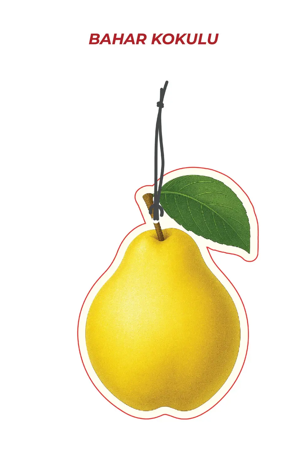 Ayva Tasarımlı Araç İçi Kokusu & Dekoratif Oto Kokusu Aksesuarı v