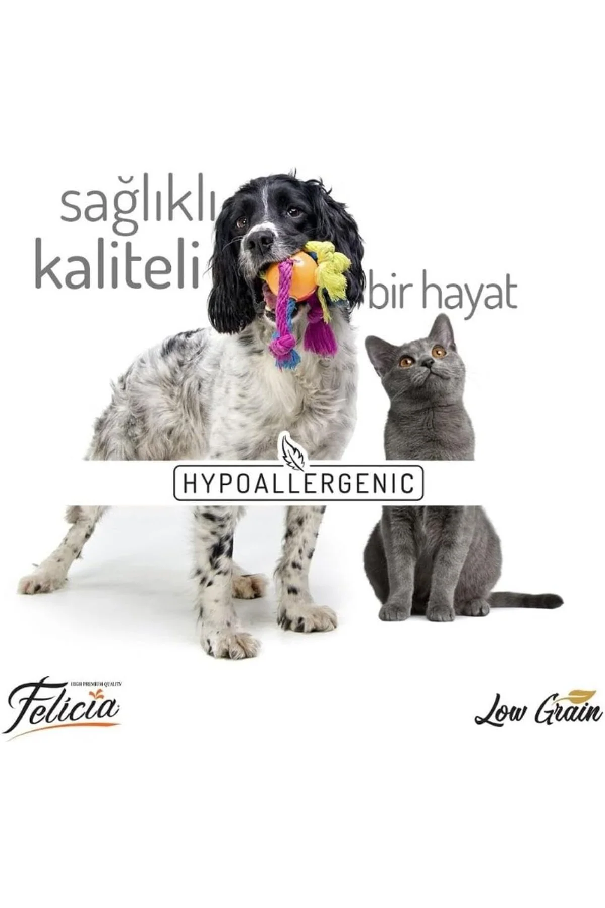 Az Tahıllı Sterilised Somonlu Kedi Maması 12 kg
