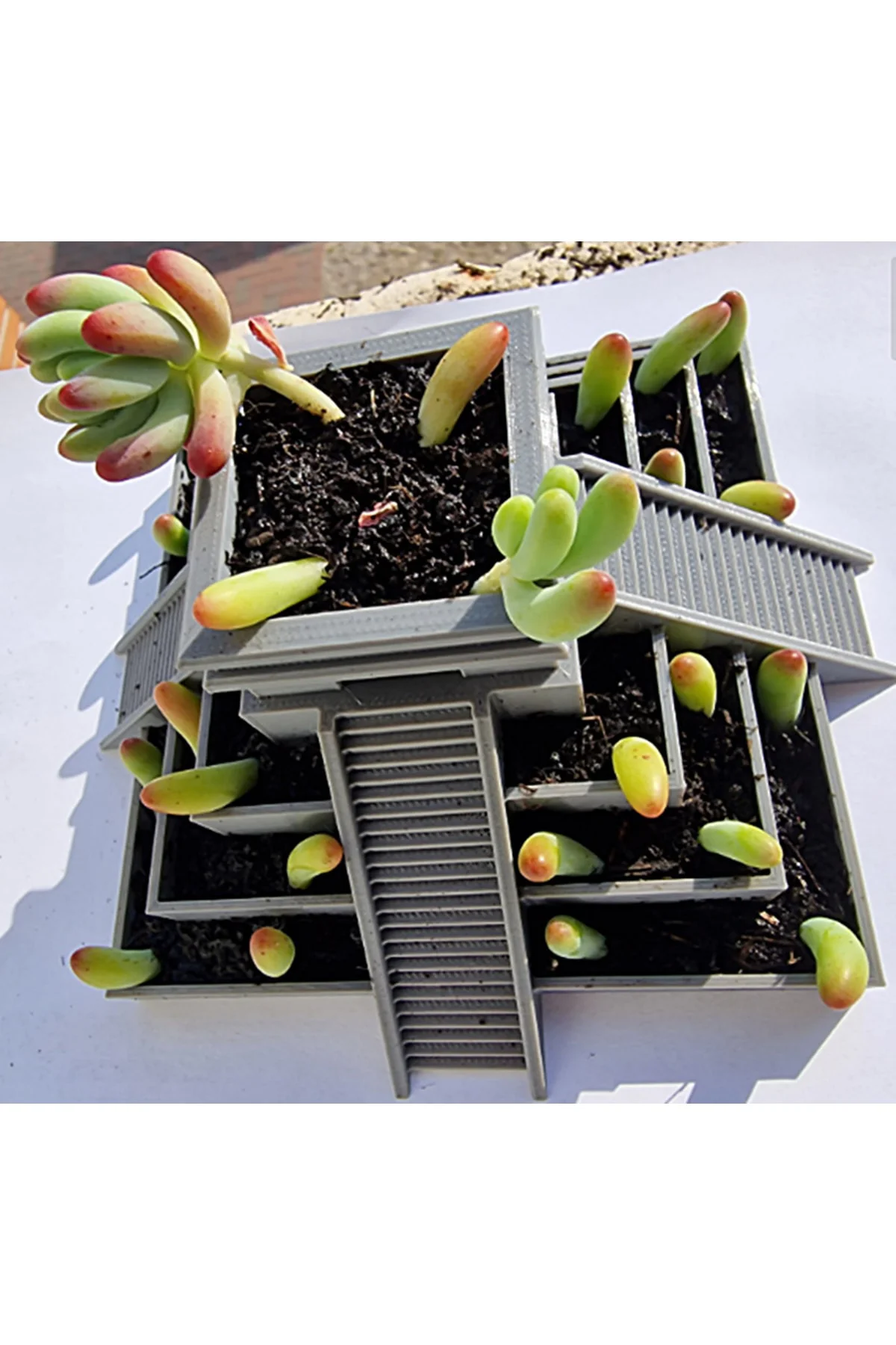 Aztek Tapınağı Saksı 12 Cm