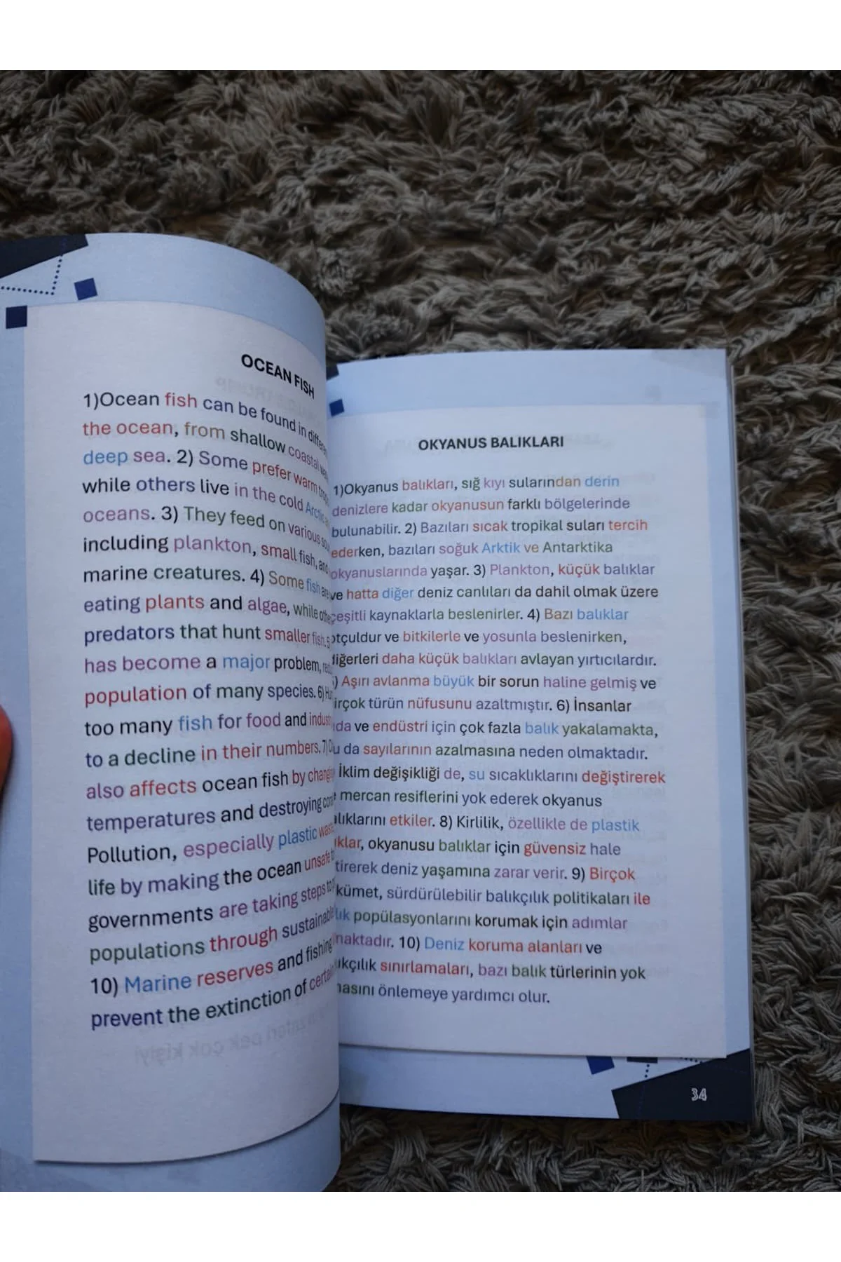B1-B2 READ ME (Yeni nesil İngilizce hikaye kitabı) Fiyatı, Yorumları ve Özellikleri