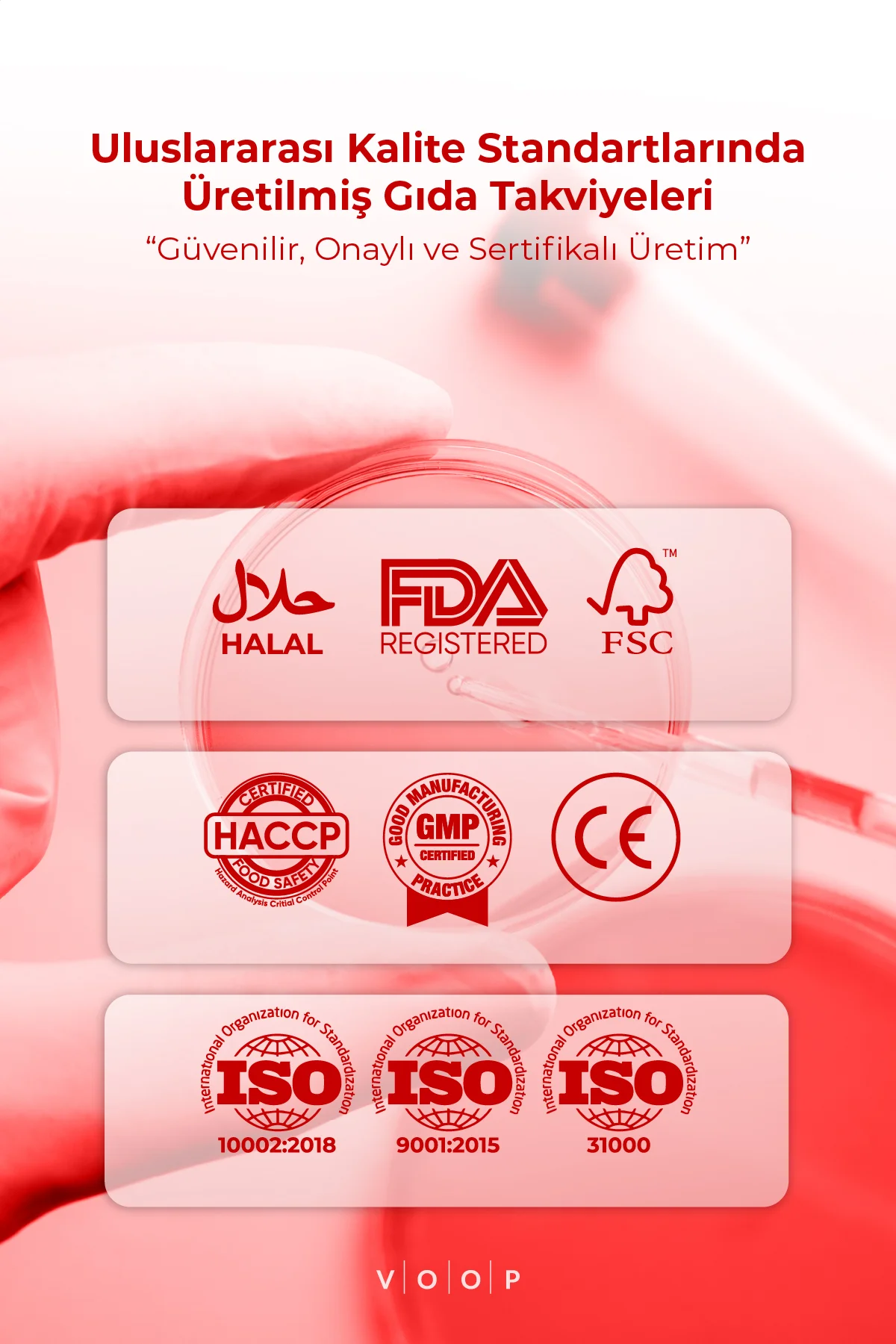 B12 Vitamini - Biotin&Folik Asit Cilt, Saç, Tırnak ve Beyin Sağlığı Destekleyici 30 Bitkisel Kapsül.