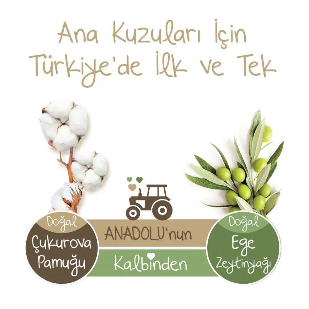 Baby Turco Doğadan 3 Numara Midi 170 Adet BABYTUR3